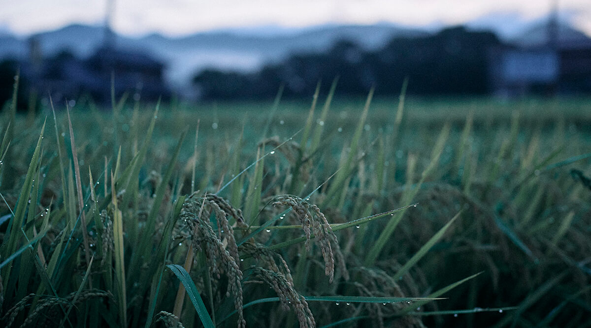 グループ経営理念