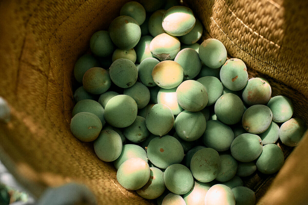 原料販売の販路開拓（マッチング）