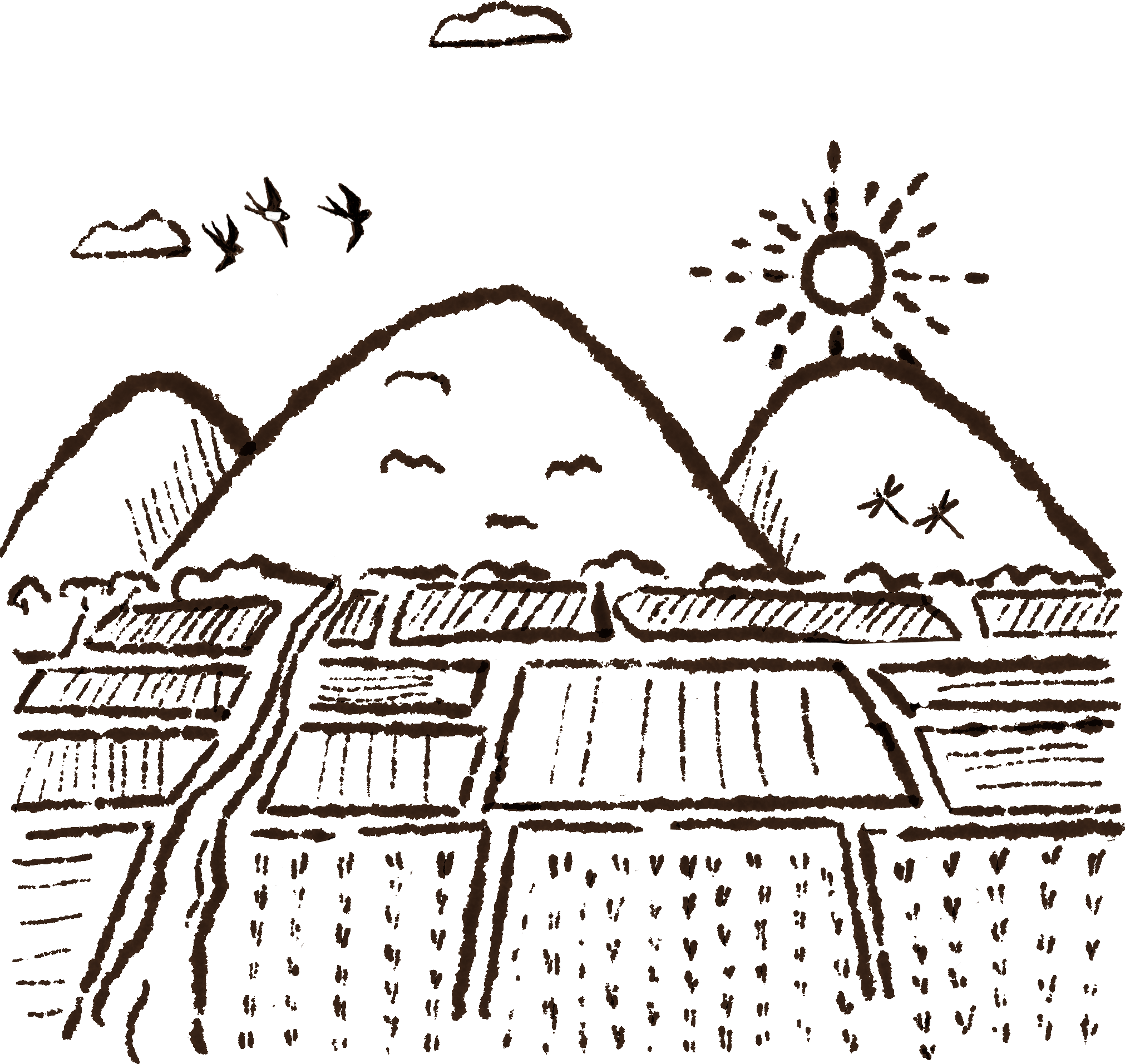 いのちと環境を守る