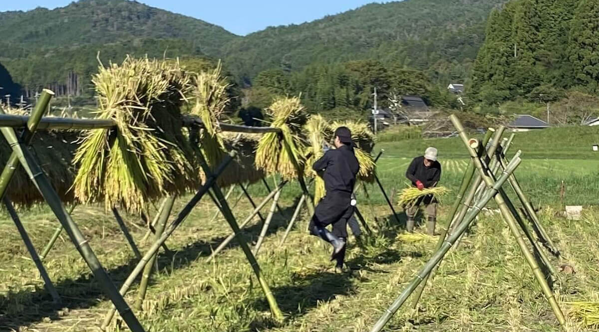 知る・体験する