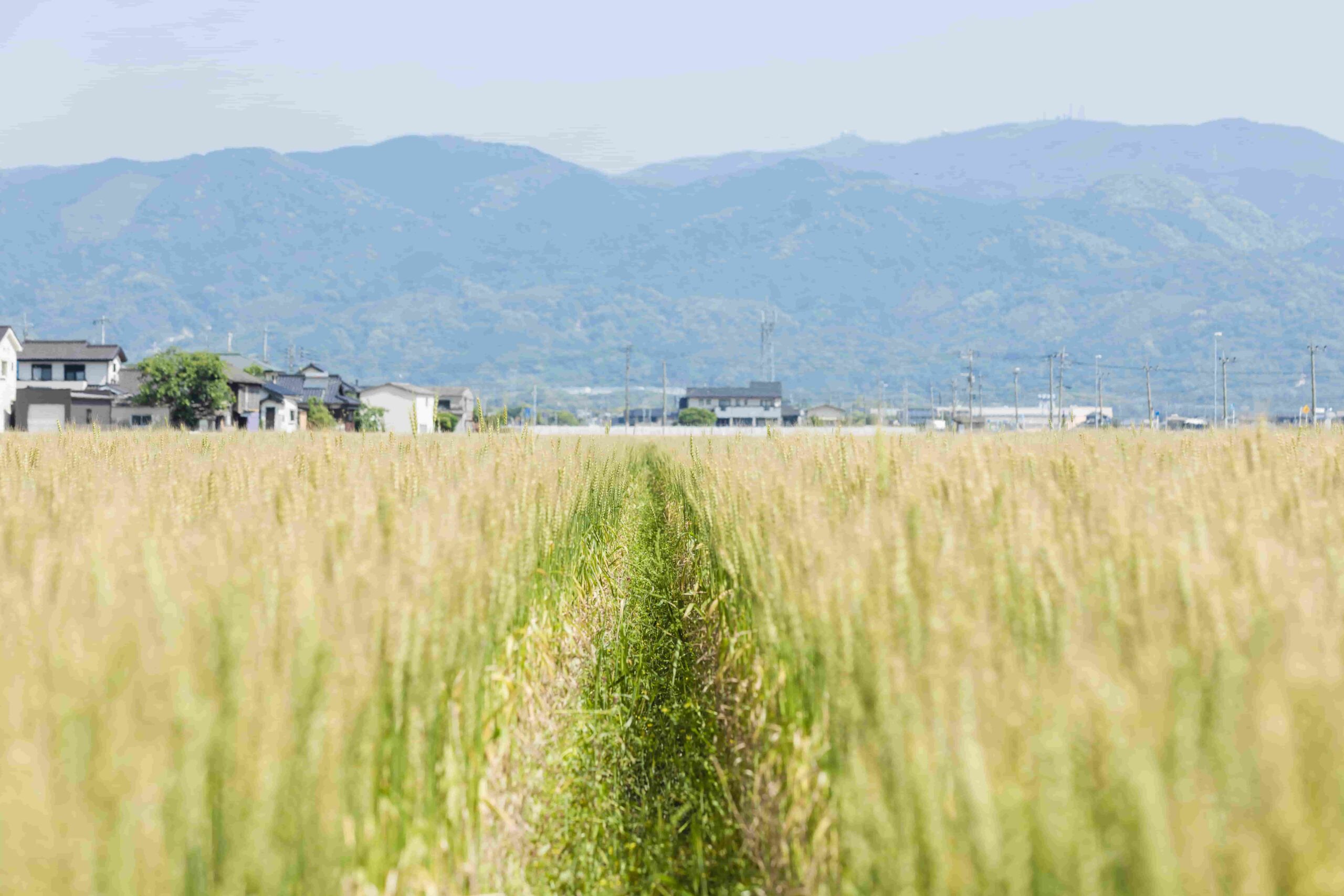 大地と向き合い続けることのできる社会に